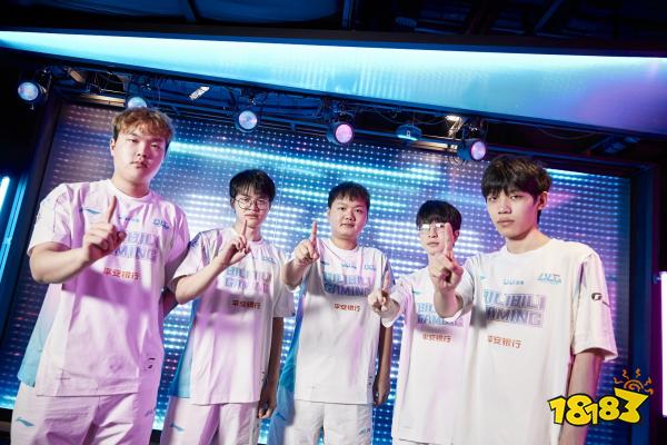 上的负担极 上的负担极